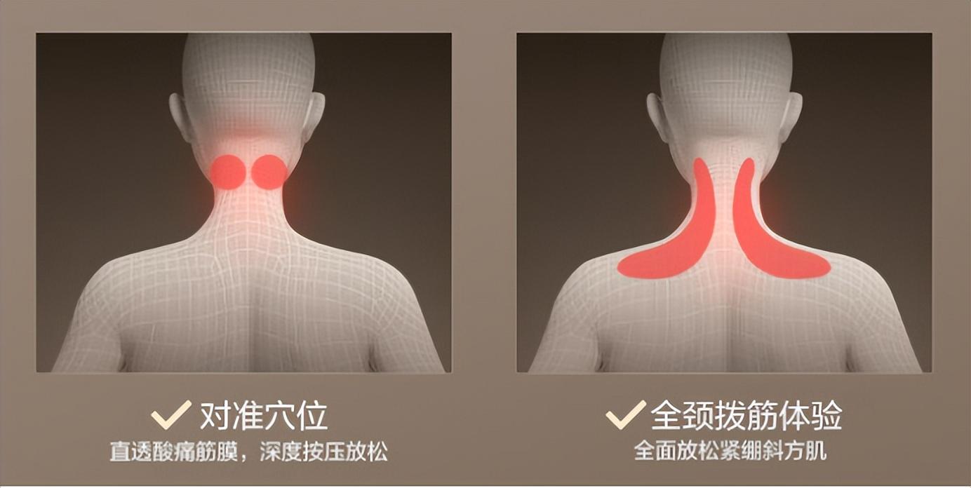 多功能综合训练器品牌_综合训练器械品牌推荐_综合训练器品牌排行