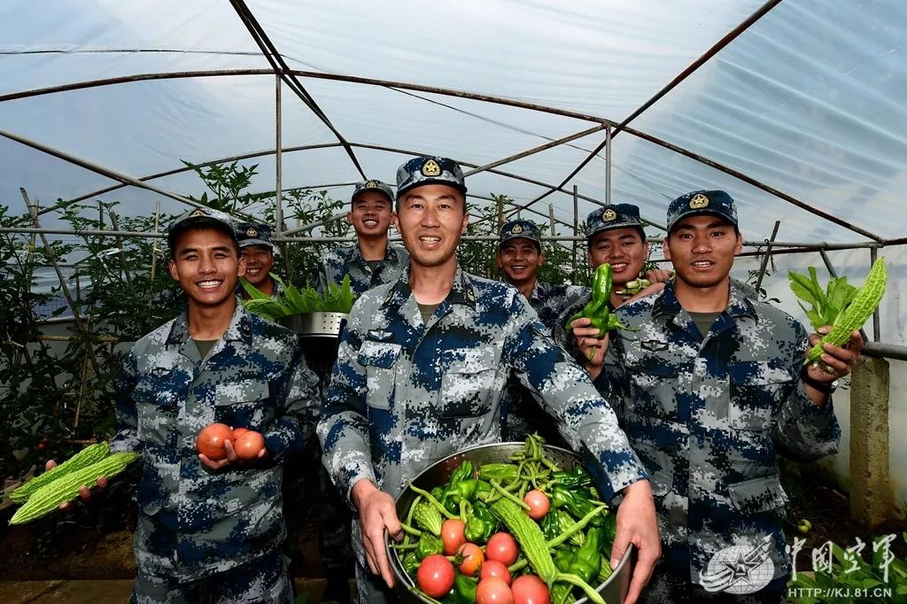 十人站综合训练器图纸_综合能力训练_警犬训练器材图纸