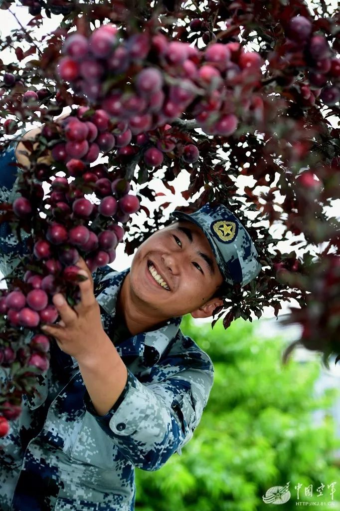 综合能力训练_十人站综合训练器图纸_警犬训练器材图纸