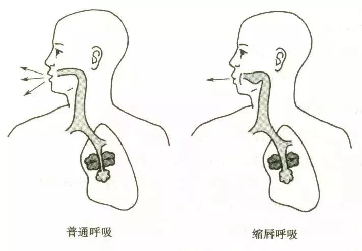 胸肌训练器有用吗_综合训练器 胸肌_器械胸肌训练