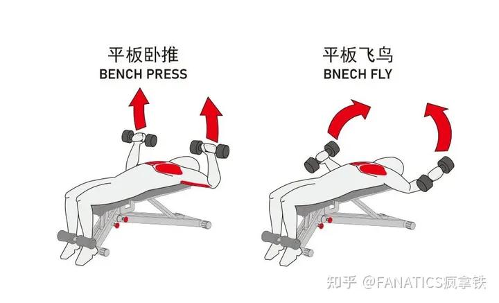 哑铃健身椅_健身椅哑铃凳_哑铃凳健身动作大全