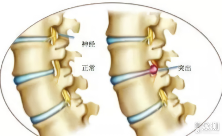 划船机不伤腰正确使用姿势硬核分析_新浪众测