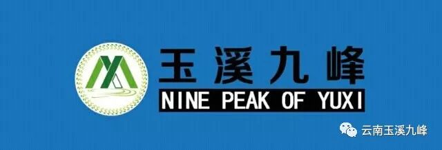 开yun体育官网入口登录app 玉溪九峰丨2024年峨山站富良棚油菜花海徒步活动公告