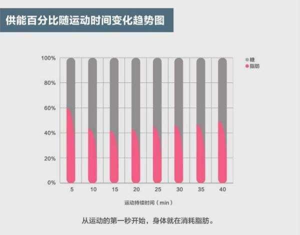 健身房腹肌椅怎么用_健身椅练腹肌_用椅子练腹肌视频教程