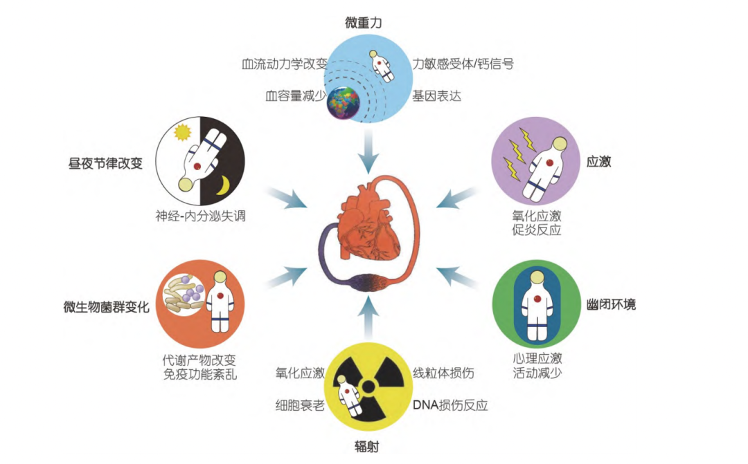 澳瑞特智能健身器材_澳瑞特综合训练器_澳瑞特综合训练器安装图