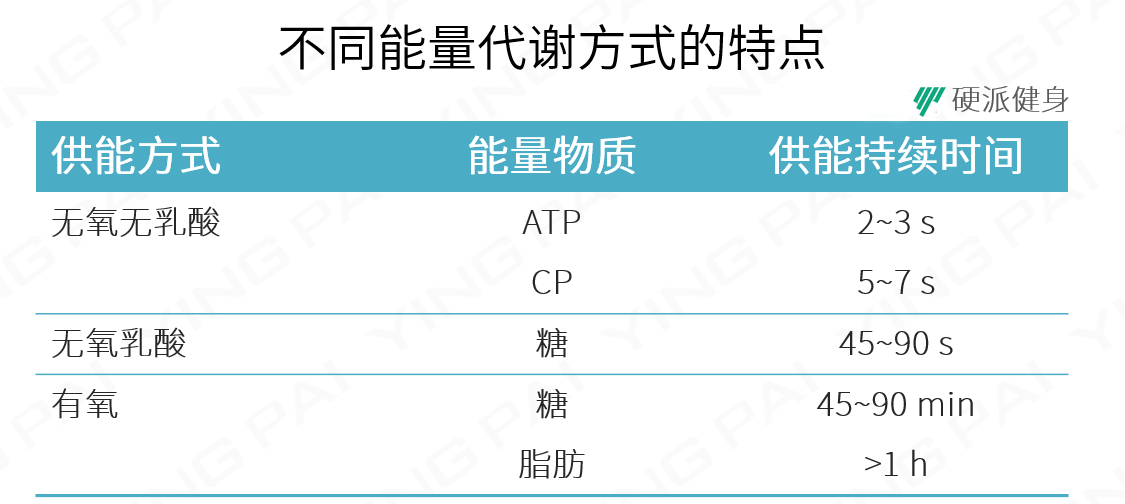 三人综合训练器_三人器训练综合实训报告_三人器训练综合训练方法