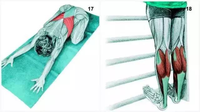 健身椅锻炼方法_椅子锻炼_椅子健身法