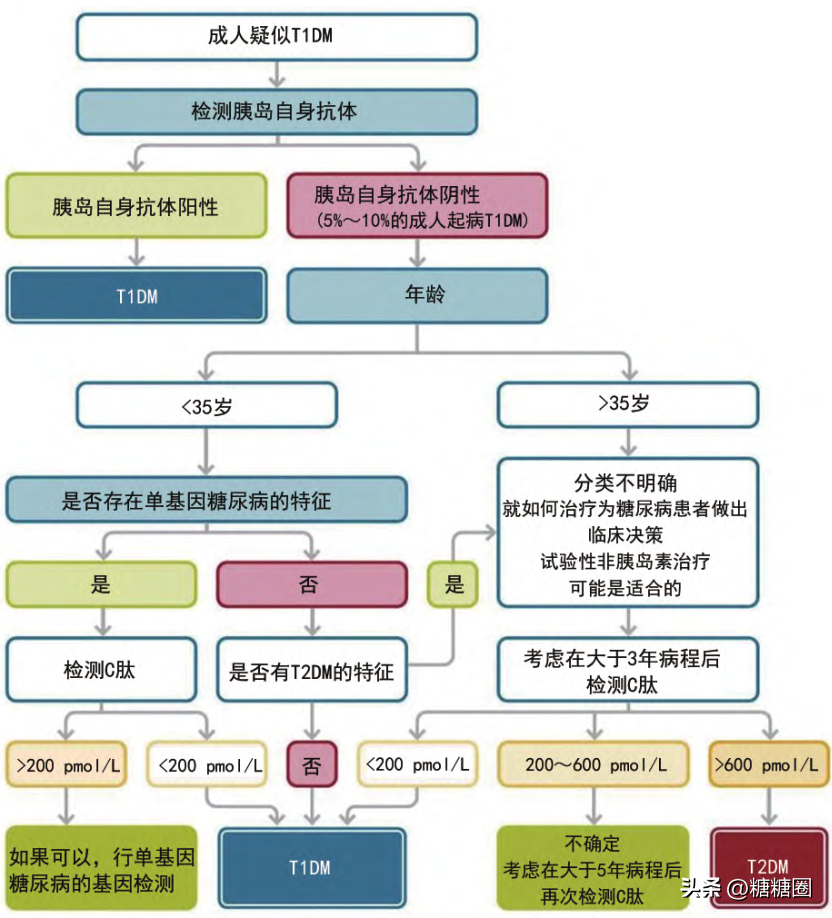 治愈糖尿病最新研究进展_治愈糖尿病最新进展_1型糖尿病治愈消息2024