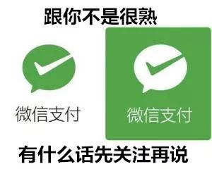 微信消息头像没有提示_头像微信消息提示没有了怎么办_微信头像不显示有消息