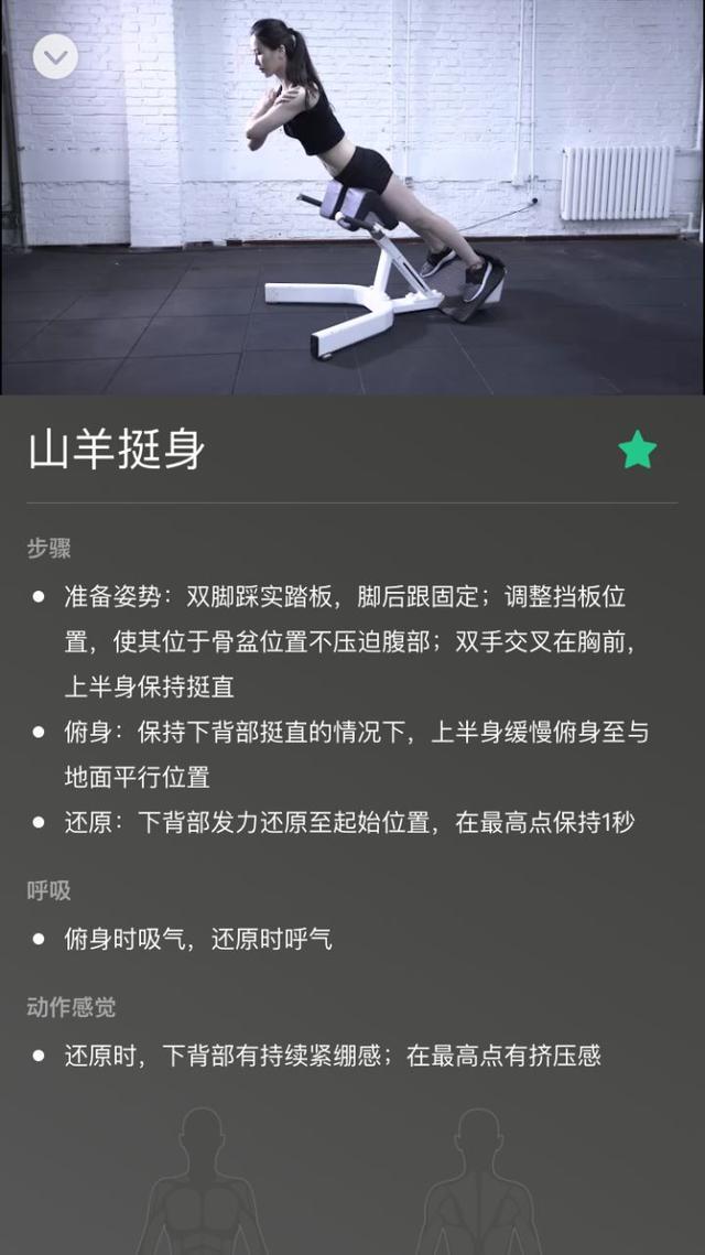 健身训练手套_手套新手健身怎么穿_新手健身手套