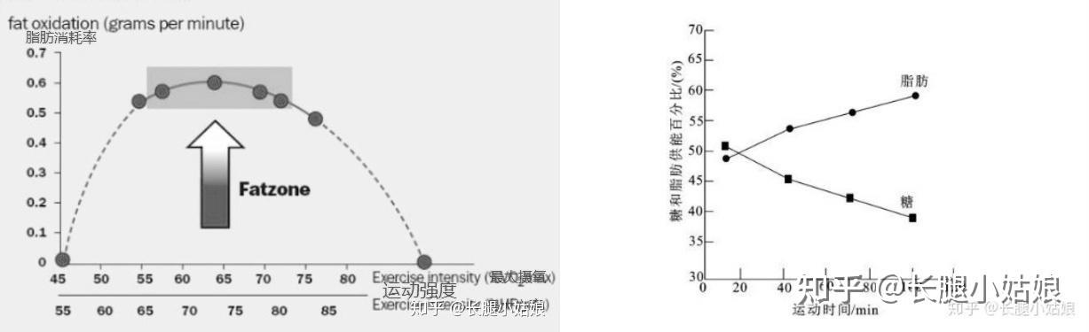 电动跑步机什么牌子好_电动跑步机哪个牌子好_牌子电动跑步机好吗