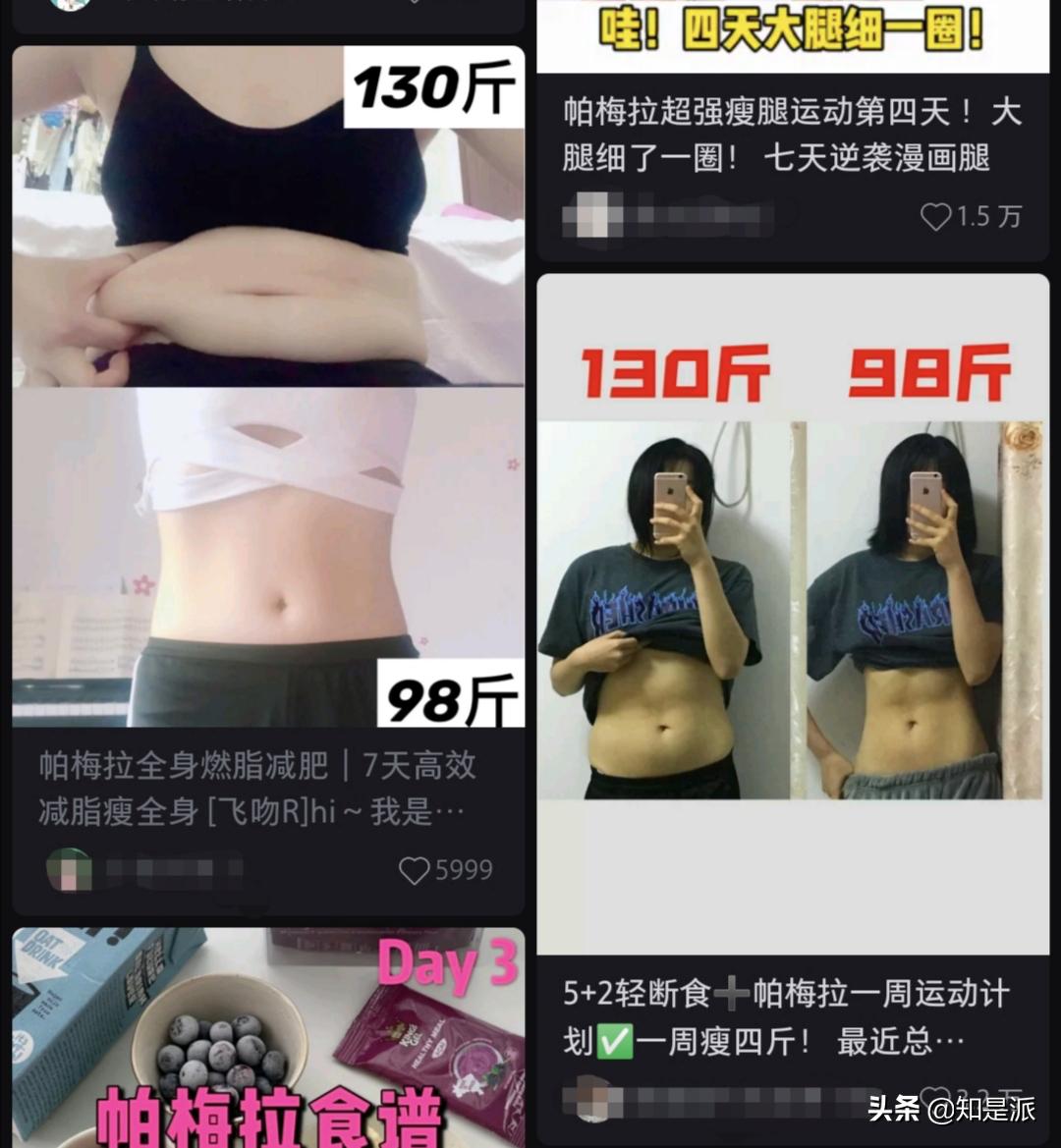 健身椅训练动作_ab健身椅使用视频_ab健身椅