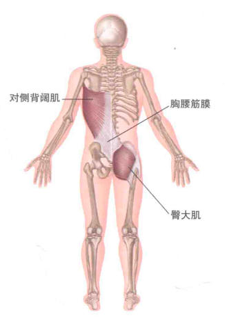 选择综合训练器_综合训练器动作_综合训练器锻炼视频教程