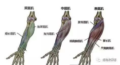 椅子健身法大全_健身椅使用方法_健身椅子使用方法视频