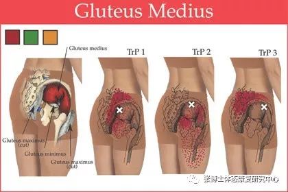 健身椅使用方法_健身椅训练动作_健身椅子使用方法视频