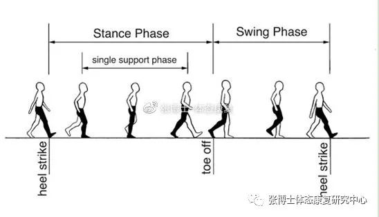 健身椅使用方法_健身椅子使用方法视频_健身椅训练动作