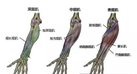 健身椅子使用方法视频_健身椅使用方法_椅子健身操健身方法