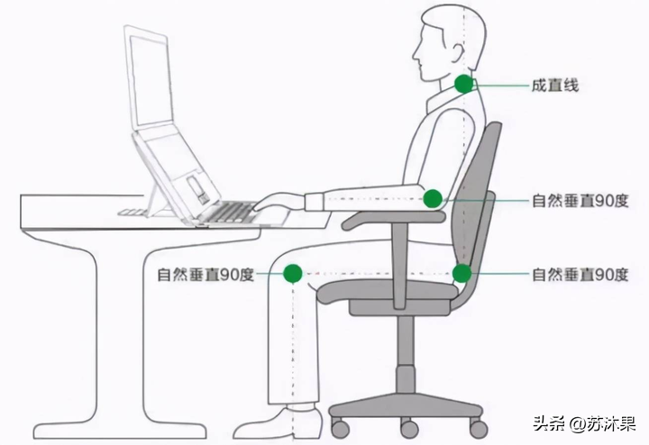 健身椅训练动作_健身椅多少钱_健身椅价格