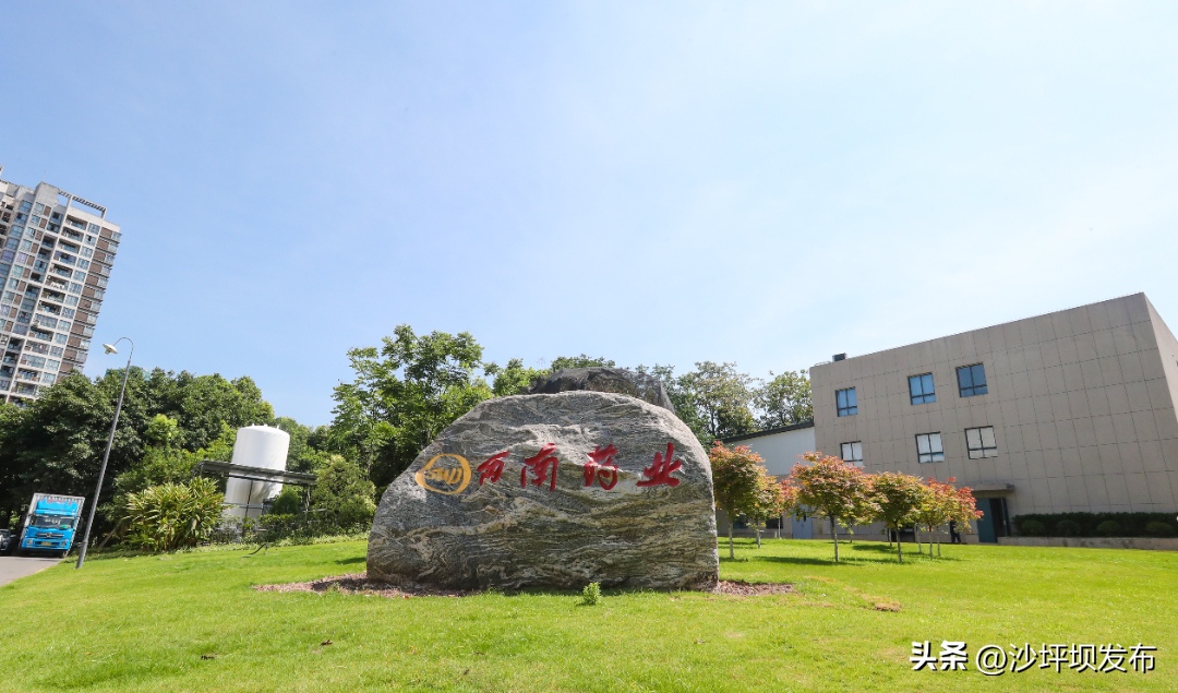 西南药业集团_西南药业简介_西南药业消息